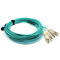 PVC / LSZH liệu MPO MTP cáp, tùy chỉnh chiều dài sợi quang vá dây cáp