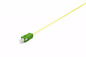 SC / APC sợi quang Pigtail, 2 M sợi Jumper cáp 12 màu sắc Opitional