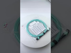 OM3 SM MPO Breakout Cable PVC / LSZH Jacket cho MTP Patch Panel