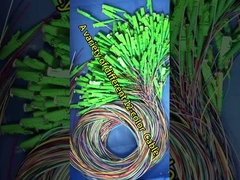 Khẳng 12 lõi Loose Tube Sc Fiber Pigtail 0,9mm