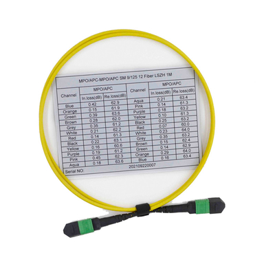 Mua Nữ OS2 9/125 MPO Cáp MTP 12 Sợi dây vá đa chế độ online manufacture
