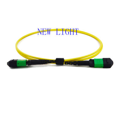 Mua 3.0mm PVC MPO Breakout Cable với Loss Return cao và Loss Insertion thấp cho Trung tâm Dữ liệu online manufacture
