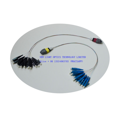 Mua Cáp trung kế sợi quang 12 lõi MPO OS2 OM3 Female Polarity B Plenum online manufacture