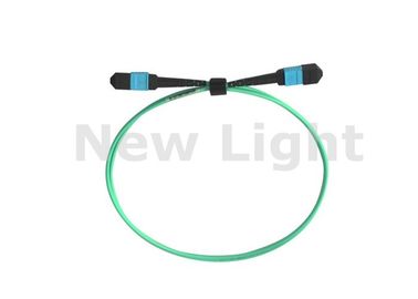 Mua 0.5 mét 12 lõi cáp MPO / MTP lõi màu xanh lá cây OM2 / OM3 / OM4 cáp online manufacture