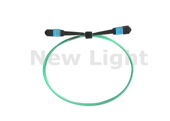Mua 0.5 Meter 12 Core MPO MTP Patch Cord với OM2 OM3 OM4 Multimode Cable cho các giải pháp trung tâm dữ liệu online manufacture