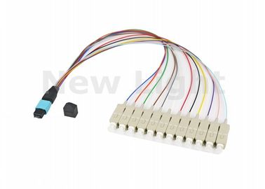 Mua Multi Mode OM3 MPO MTP Cáp 12 lõi / 24 lõi cho mạng lưu trữ Mạng Fibre Channel online manufacture