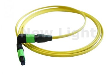 Mua Chế độ Chế độ Tự động 12 Core MPO MTP Cable / MTP Trunk Cable Với APC Polish CE Approved online manufacture