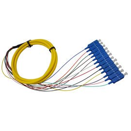 Mua 2 M Fan - Out Tails Fiber Optic SC Connector cho khung phân phối quang / ATTV online manufacture