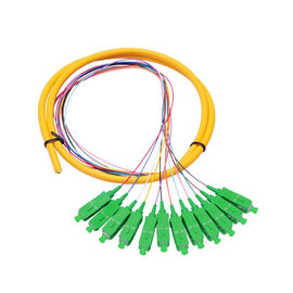 Mua 12 Core SC APC phân phối chế độ đơn Pigtail sợi quang cho mạng viễn thông online manufacture