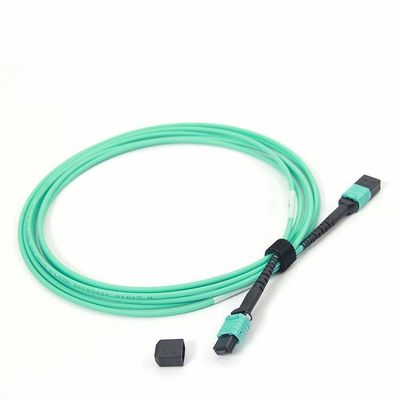 Mua Dây vá cáp quang MPO Female sang MPO OM4 50/125 24 lõi Multimode với vật liệu LSZH dài 10ft online manufacture