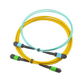 Mua MPO nữ kết nối 12 lõi duy nhất chế độ Trunk sợi cáp quang hội cho SFP online manufacture