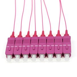 Mua OM4 SC / PC Sợi quang Pigtail, Cáp nhảy 1 M 12 màu 0,9mm online manufacture