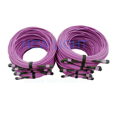 Mua OM4 Cáp MPO MTP 12 lõi với chiều dài có thể tùy chỉnh cho các trung tâm dữ liệu mật độ cao online manufacture