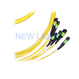 Mua G652D LSZH Cáp quang song công chế độ đơn MPO / MTP Trunk Cord 8/12/24 Core online manufacture