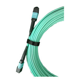 Mua Cáp quang Plenum, Dây nối MTP / MTP (MPO) 40/100 G Mpo online manufacture