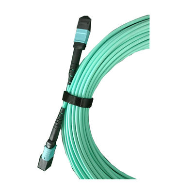 Mua OM4 12 lõi MPO MTP Cable cho 40/100 G High-Speed Fiber Optic Patch Cord online manufacture