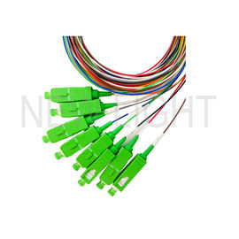Mua 1x2 1x4 1x8 1x16 1x32 Bộ tách sợi quang loại thép SC APC PLC Splitter 0.9mm LSZH online manufacture
