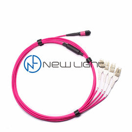 Mua OM4 100G Truyền 12 Cáp MTP Patch online manufacture