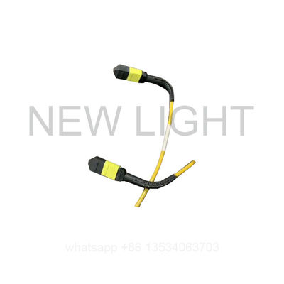 Mua Dây nhảy có cấu trúc 40G 100G 1300nm MM MTP Fiber Jumper online manufacture