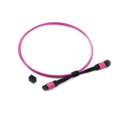 12 Sợi MPO MTP Patch Cord Low Insertion Loss OM3 PVC 3.0mm OM4 50/125