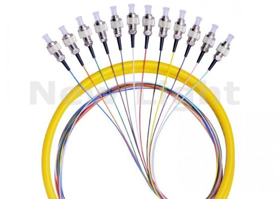 FC UPC 12 Core Single Mode Fiber Optic Pigtail với đường kính 0,9mm để truyền dữ liệu