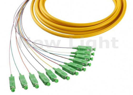 1 Meter Single Mode SC APC 12 Core Fiber Optic Pigtail cho truyền dữ liệu tốc độ cao