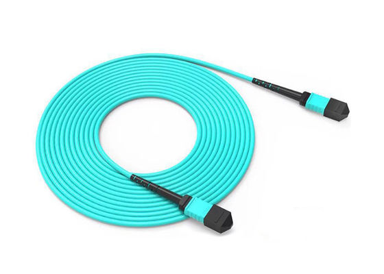 Cáp MPO MTP OM3 OM4 Patch Cord với Đầu nối Đực hoặc Cái và Tùy chọn 8 12 24 Sợi