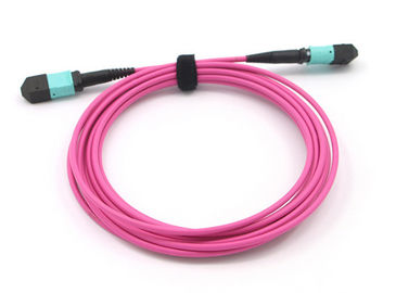 Dây nối MPO ĐẾN MPO 12 Cáp lõi OM4 Magenta MPO MTP Cáp trung kế