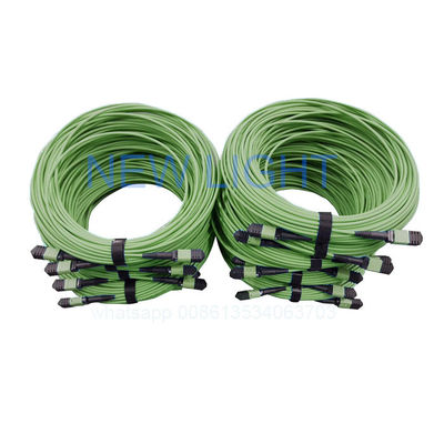 Cáp MPO MTP OM4 12 lõi với chiều dài tùy chỉnh và đầu nối sợi quang MPO