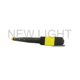 MTP (Nữ) Đến MTP (Nữ) Phân cực cáp đơn chế độ B cho máy thu phát QSFP28