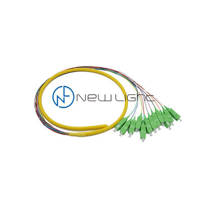 Rigid 12core Loose Tube SC Fiber Pigtail 0.9mm cho các bộ lắp ráp cáp đa sợi hiệu suất cao