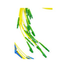 Tên